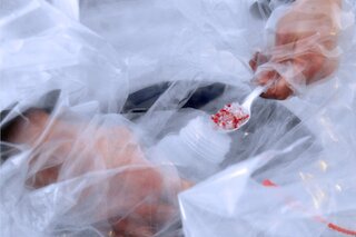 EPS - Einweg Isolator