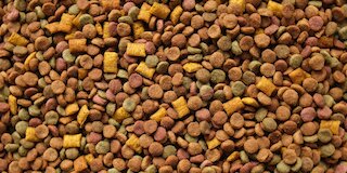 Pet Food